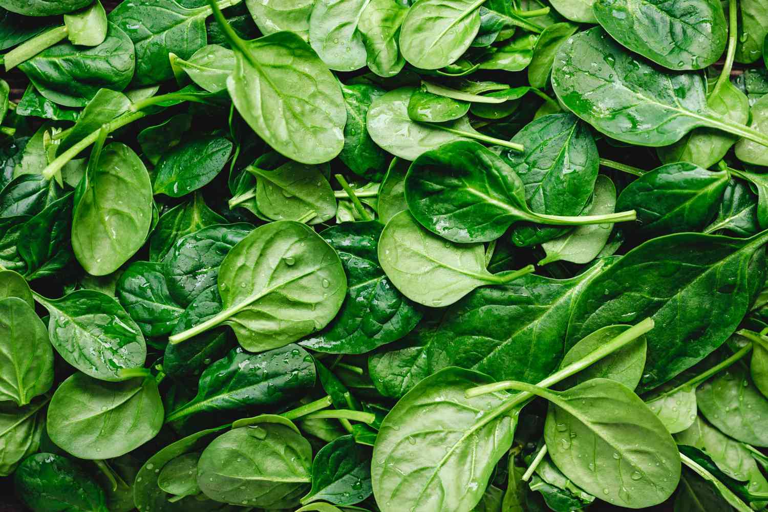 Health-Benefits-of-Spinach