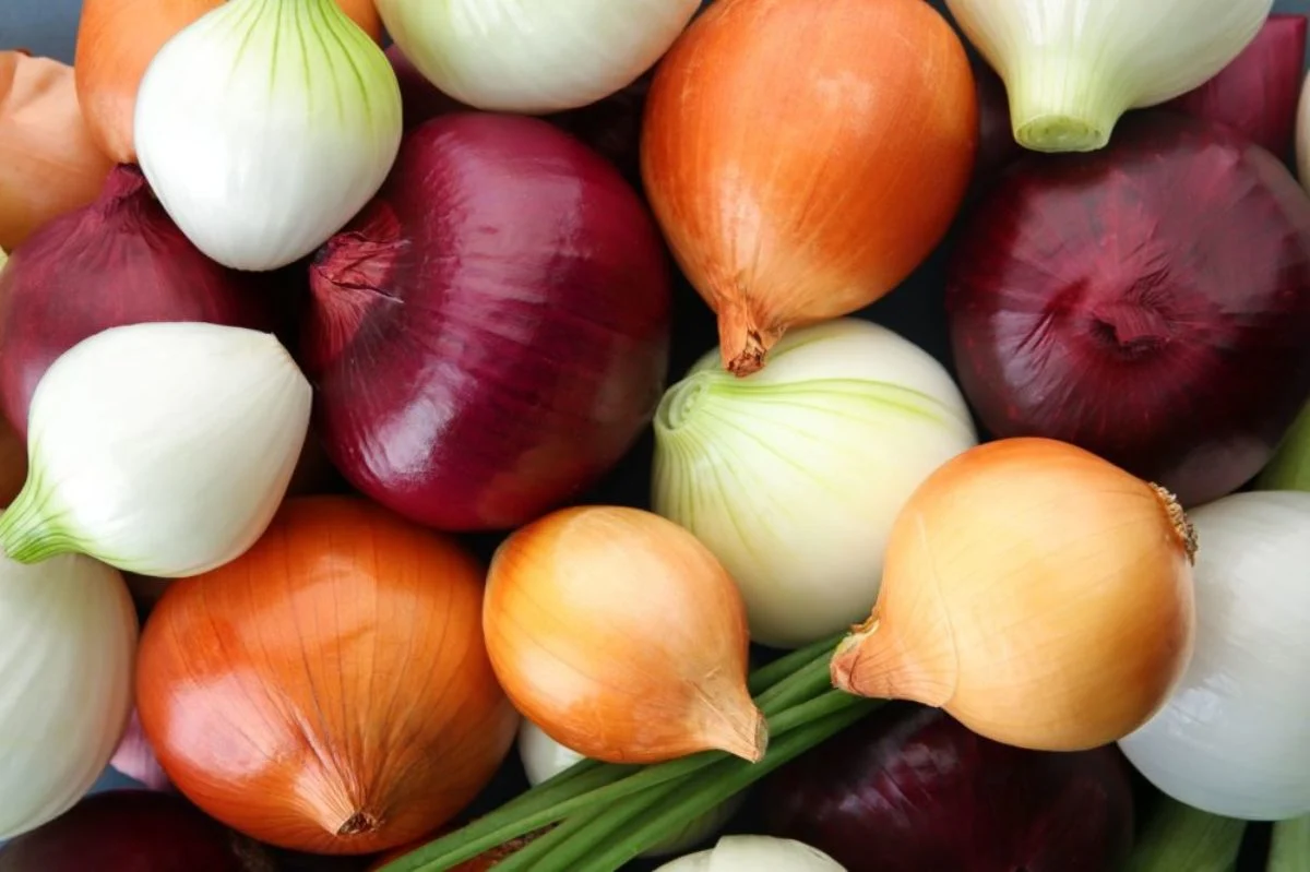 Health-Benefits-of-Onions