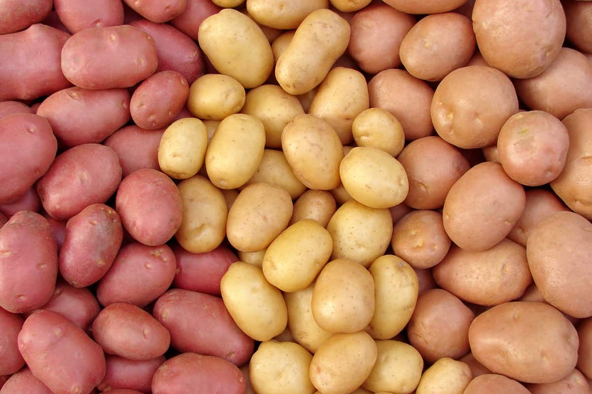 Health-Benefits-of-Potatoes